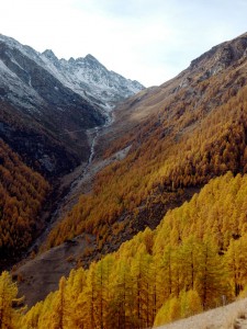 Trek The Hidden Valleys Of The Swiss Alps Responsible Holidays
