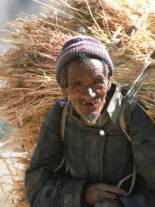 Ladakhi peasant