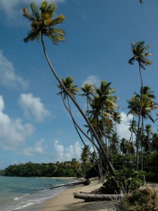 Toco beach on the North-East coast of Trinidad