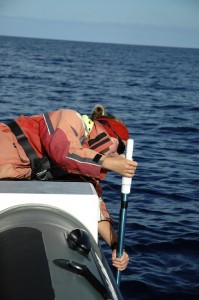 A biologist submerging the sonar to detect the sperm whales