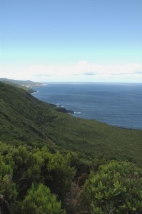 The wild Northeast coast