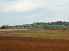 Tuscany countryside in the autumn