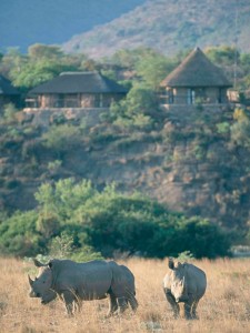 One of your lodges in South Africa