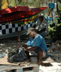 Grenadine boatman - Union island