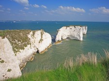 Handfast Point cliffs