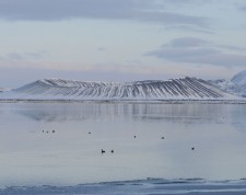 Lake Mývatn