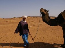 Cameleteers in the Drâa valley