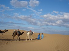 Camel trek in the dunes