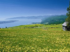 Charlevoix Coast in summer