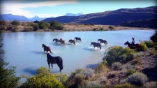 Horses crossing the Catarina river near Estancia Cristina (Argentina)