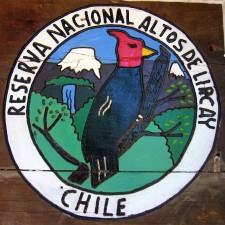 Emblem of the National Reserve Altos de Lircay (Chile)