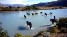 Horses crossing the Catarina river near Estancia Cristina (Argentina)