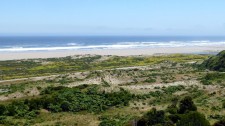 A Pacific beach on the island of Chiloé (Chile)