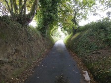 Jersey – A "Green Lane", a little road to walk or bike