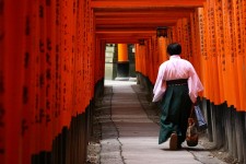 The famous red torii at Fushimi Inari Shinto Shrine, Kyoto