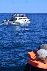 In transit on Lake Titicaca