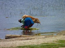 A "cholita" on the shore of Lake Titicaca