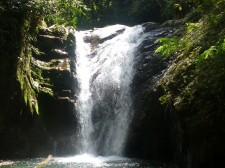 Mountain Tropical Forest Extension – A waterfall in the jungle