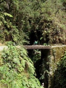 Mountain Tropical Forest Extension – Full throttle down the "death road" !