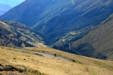 Approaching the vegetation