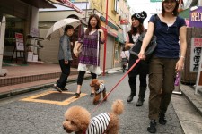 A stroll in Tokyo