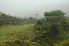 The volcano often produces its own cloud... and we're in it!