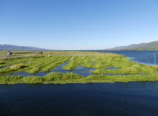 The Floating Garden on Inle Lake