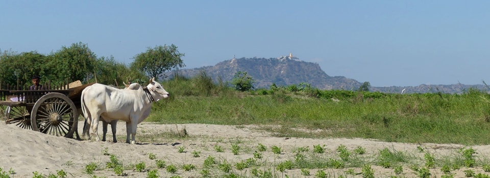 Myanmar – The Golden Land of Gold-Hearted People