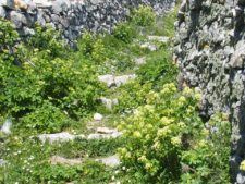 One of the many shepherd trails in Tinos