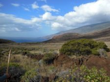 A typical landscape of the island