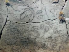 Petroglyphs