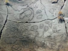 Petroglyphs