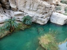 A wadi, a welcome water point