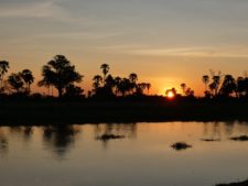 Superb sunset over the delta marshes