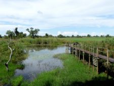 Northern Okavango Delta fishing and observation lodge