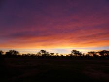 Magical sunset in Okonjima