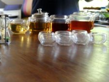 Tea tasting session at an organic farm